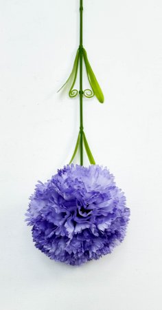 Гвоздика "Шабо" 