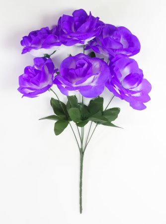 Букет роз Астолат 6 цветков