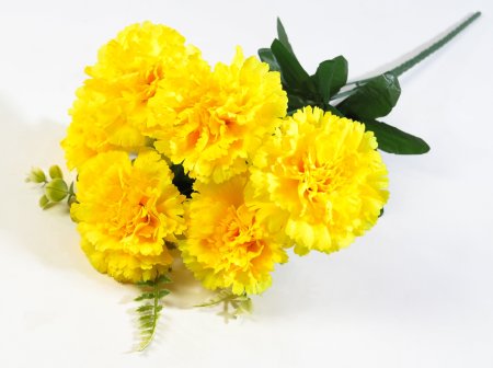 Букет гвоздик Монпансье 6 цветков