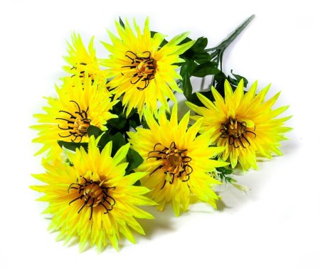 Букет астры " Краб"