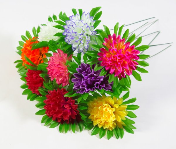 Хризантема штучка