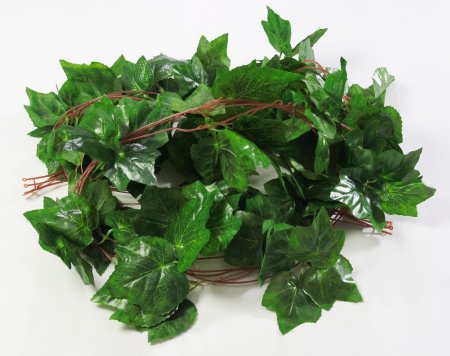 картинка Лиана винограда от магазина KALINA