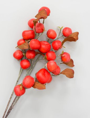 Хурма 7 плодов