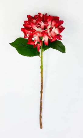 Гортензия "Кружевной шёлк" красная