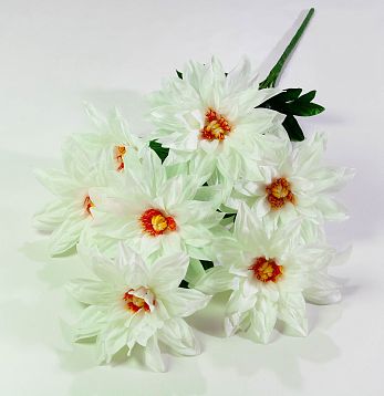Георгин "Касабланка" 7 цветков от магазина KALINA являющийся официальным дистрибьютором в России 