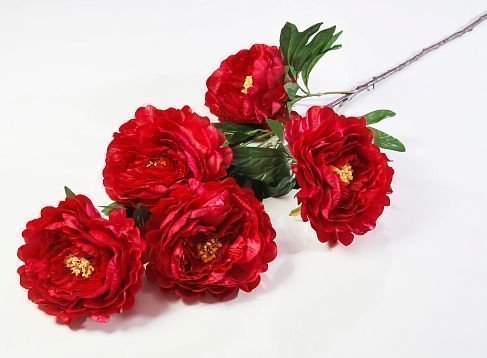 Ветка пиона высокая 5 цветков от магазина KALINA являющийся официальным дистрибьютором в России 