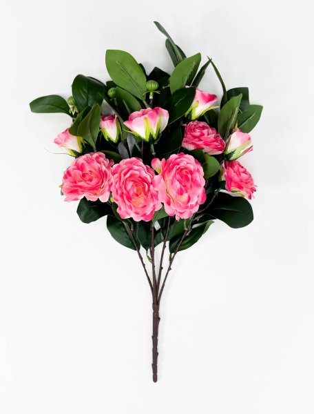 Пион "Слава" 5 цветков 5 бутонов