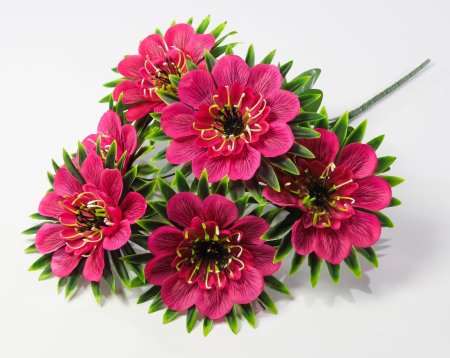 Георгин "Голубое знамя" 6 цветков