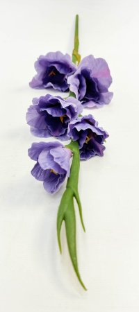 Гладиолус "Цветочный калейдоскоп" сиреневый