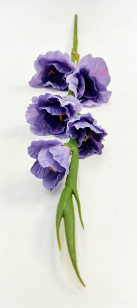 Гладиолус "Цветочный калейдоскоп" сиреневый