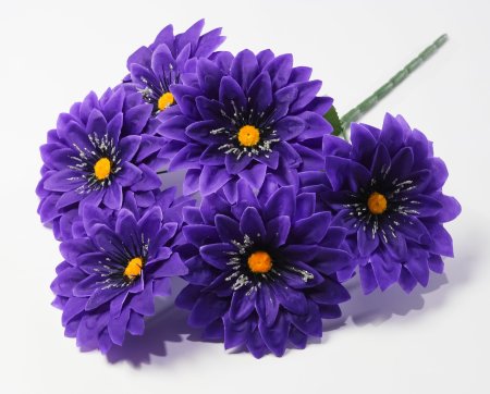 Георгин "Алинка" 6 цветков