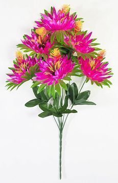 Астра "Юдо" 7 цветков от магазина KALINA являющийся официальным дистрибьютором в России 