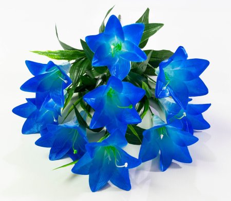 Лилия "Алика" 9 цветков