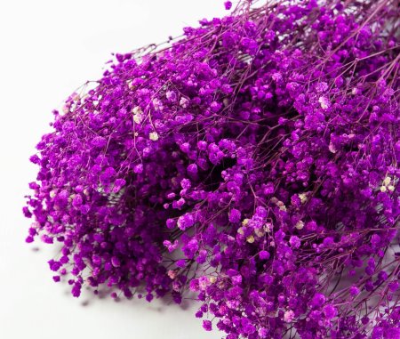 Гипсофила 5