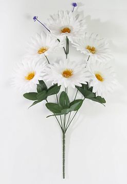 Букет ромашек "Белый ковер" 6 цветков от магазина KALINA являющийся официальным дистрибьютором в России 