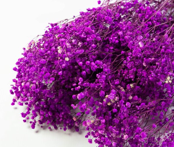 Гипсофила 5