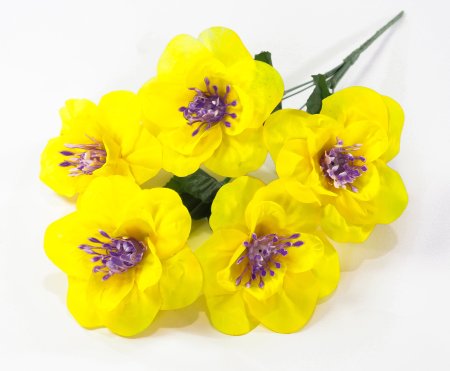 Нарцисс "Джувел" 5 цветков