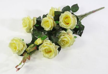 Ветка роз "Альф" 7 цветков 2 бутона