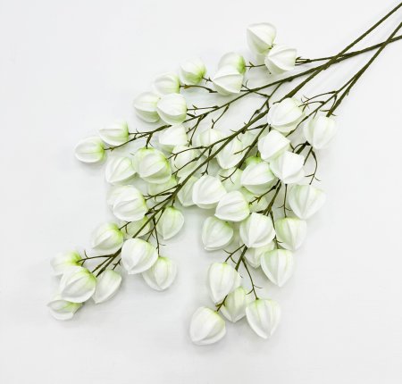 Физалис молочный