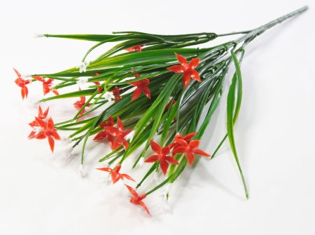 Букет Звездочка 6 веток