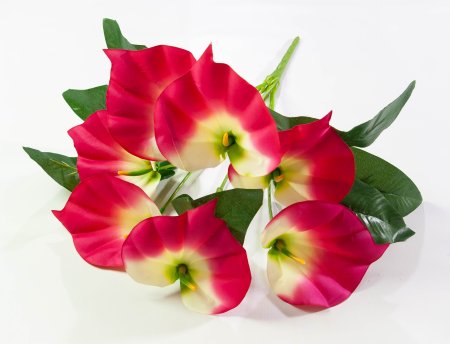 Букет калл "Тереза" 7 цветков