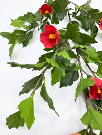 Гибискус красный