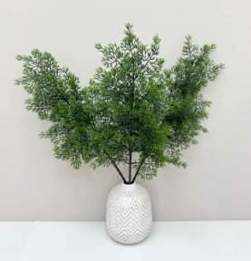 Туя "Летняя пора" темно-зеленая 2