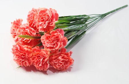 Букет гвоздик "Вишенка" 9 цветков