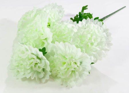 Шафран "Звезда великан"