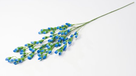 Ветка с мелкими тюльпанами