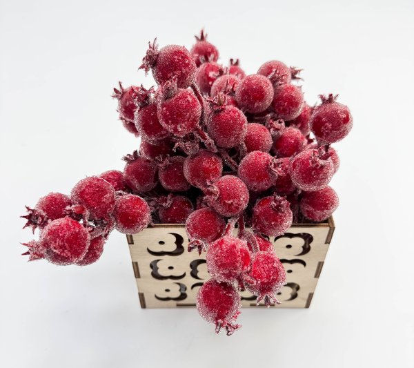 Насадка шиповника с красными крупными ягодами в инее