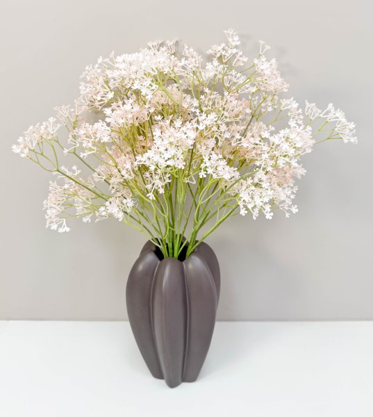 Гипсофила "Изящная" чайная 