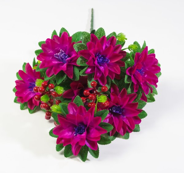 Георгин с ягодкой 8 цветков