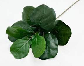 картинка Лирата темно-зеленая 9 листов от магазина KALINA