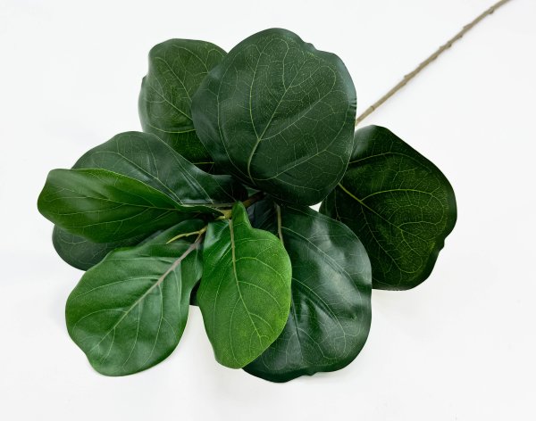 картинка Лирата темно-зеленая 9 листов от магазина KALINA