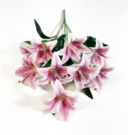 Лилия Иванна латекс 9 цветков