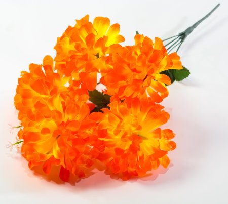 Хризантема "Жар-Птица" 5 цветков