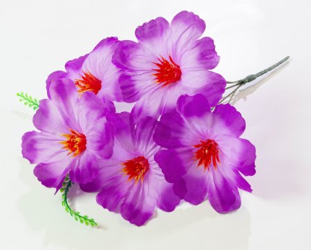 Лилия "Гиго" 5 веток