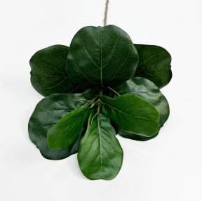 картинка Лирата темно-зеленая 9 листов от магазина KALINA