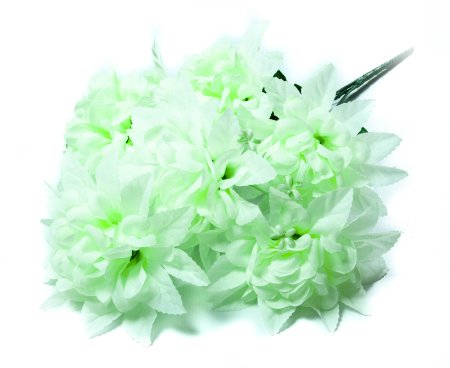 Букет астры "Звезда" 7 веток 7 цветков