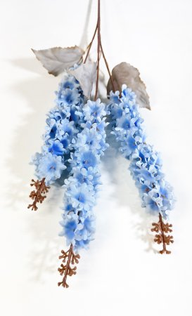 Дельфиниум "Суфле" голубой