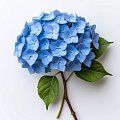 Искусственные одиночные цветы и ветки