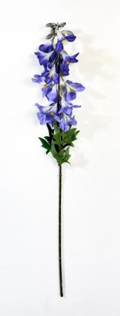 Дельфиниум с крупными соцветиями фиолетовый