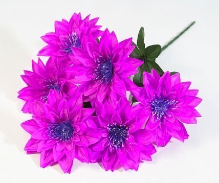 Букет астр "Махровая смесь" 6 цветков от магазина KALINA являющийся официальным дистрибьютором в России 