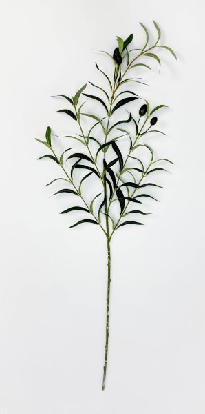 картинка Олива ветка "Турецкая" от магазина KALINA