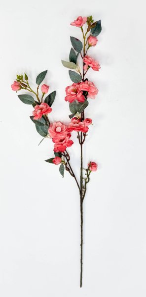 Сакура "Самурайский бутон"