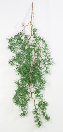 картинка Ветка можжевельника от магазина KALINA