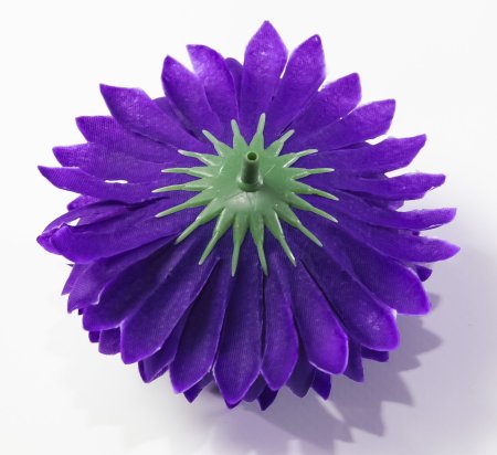 Насадка хризантемы