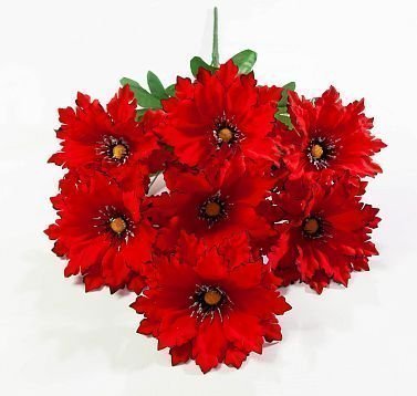 Бархатная астра "Резная" 7 цветков от магазина KALINA являющийся официальным дистрибьютором в России 