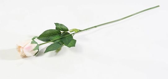 Роза с латексным покрытием малая "Ла Перла" от магазина KALINA являющийся официальным дистрибьютором в России 